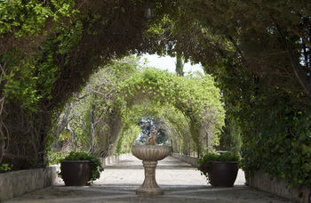 Finca Sa Garriga بينيسالم المظهر الخارجي الصورة